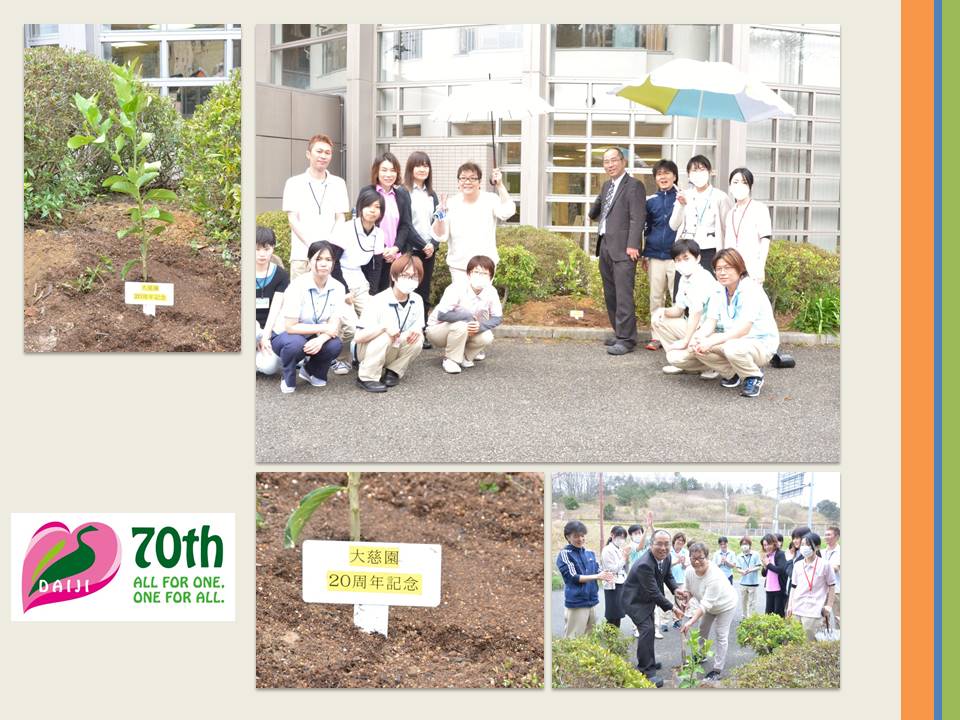 17植樹